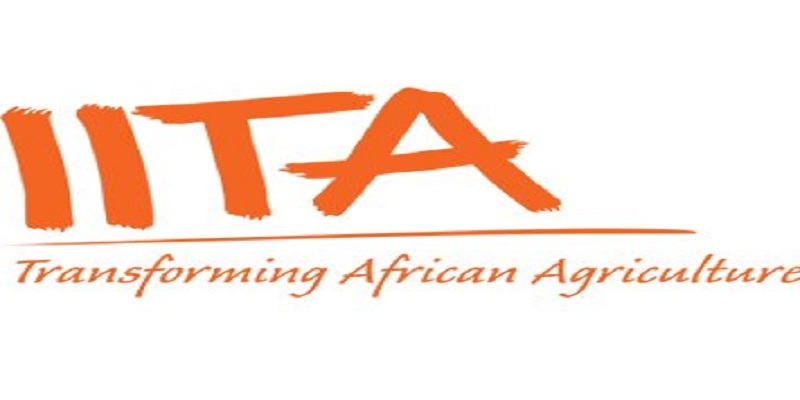 Call for Expression of Interest (EOI) - Consulting Firm for Youth Agribusiness at International Institute of Tropical Agriculture (IITA): (Deadline 12 Oct 2026)