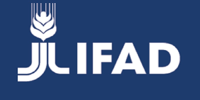 Driver / Clerk at IFAD - International Fund for Agricultural Development: (Deadline 9 Aug 2026)