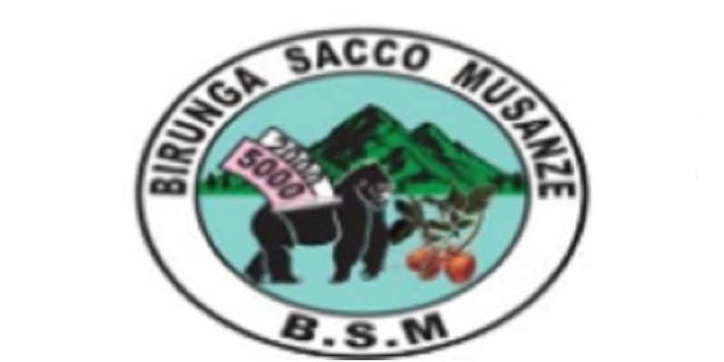 IT Officer Hardware and Software at BIRUNGA SACCO MUSANZE (BSM): (Deadline 04-08-2026)