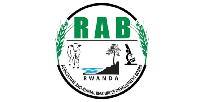 Tissue Culture Cassava Technician at Rwanda Agriculture and Animal Resources Developement Board (RAB): (Deadline Aug 6, 2026)