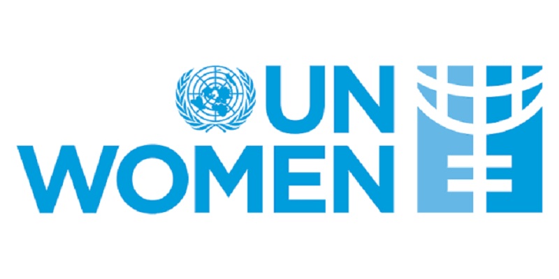 Facilitator for Entrepreneurship Capacity Building Training under the WE-Collabo Hub Project at UN Women: (Deadline 9 Aug 2026)