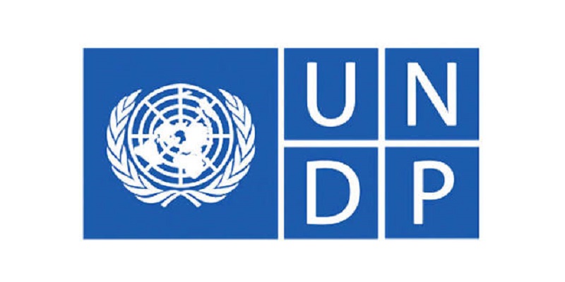Individual Consultant/Ecosystem Manager for the timbuktoo HealthTech Hub at UNDP - United Nations Development Programme: (Deadline 17 Aug 2026)