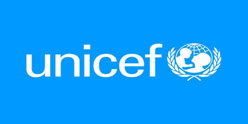 National Consultant to Support Disability Mainstreaming in National and Local Planning and Budgeting in Rwanda, Kigali (office based) 5 months (594925)  at UNICEF - United Nations Children's Fund: (Deadline 15 Aug 2026)