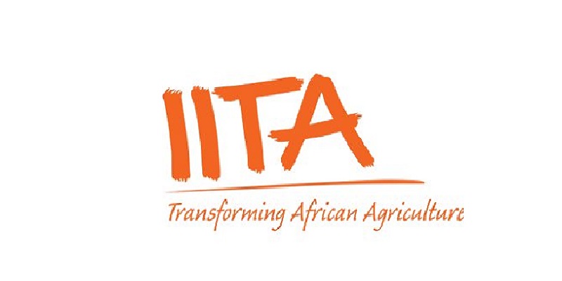 Regional Internal Auditor at IITA - International Institute of Tropical Agriculture: (Deadline 19 August 2026)
