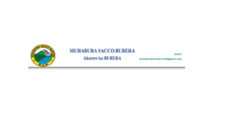 Branch Business Manager at MUHABURA SACCO BURERA (MSB): (Deadline 20-08-2026)