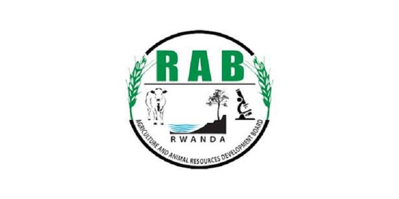 Environmental Safeguards Officer at Rwanda Agriculture and animal Resources Developement board (RAB): (Deadline Sep 1, 2026)