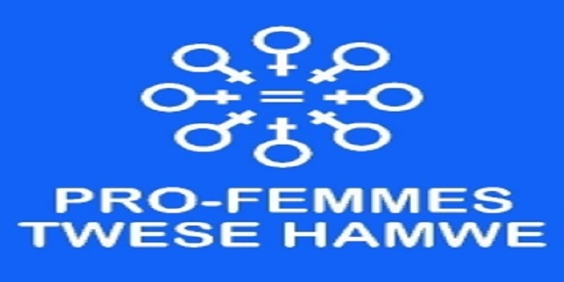 Advocacy and Policy Analyst at PRO-FEMMES/TWESE HAMWE (PFTH) : (Deadline 08-09-2026)