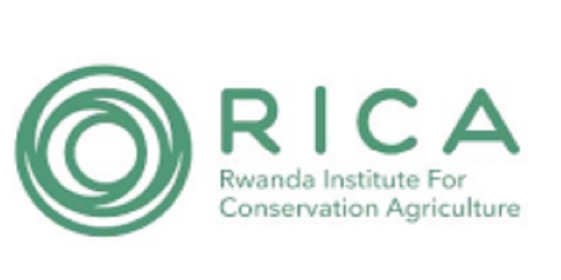 Extension Knowledge & Content Developer at Rwanda Institute for Conservation Agriculture (RICA) : (Deadline 25-09-2026)