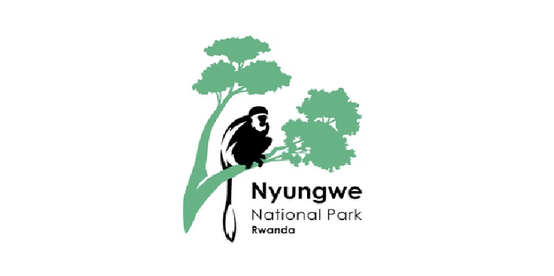 11 Job Positions of Security Guards at Nyungwe Management Company Ltd: (Deadline 29-10-2026)