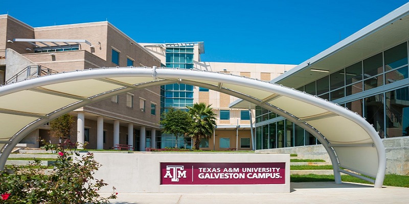 Texas A&M STEM Ph.D. Fellowship 2027 – Fully Funded, $40,000 Annual Stipend | Deadline: January 18, 2027
