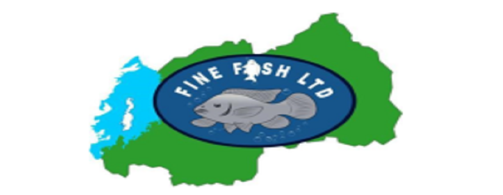 fine fish ltd